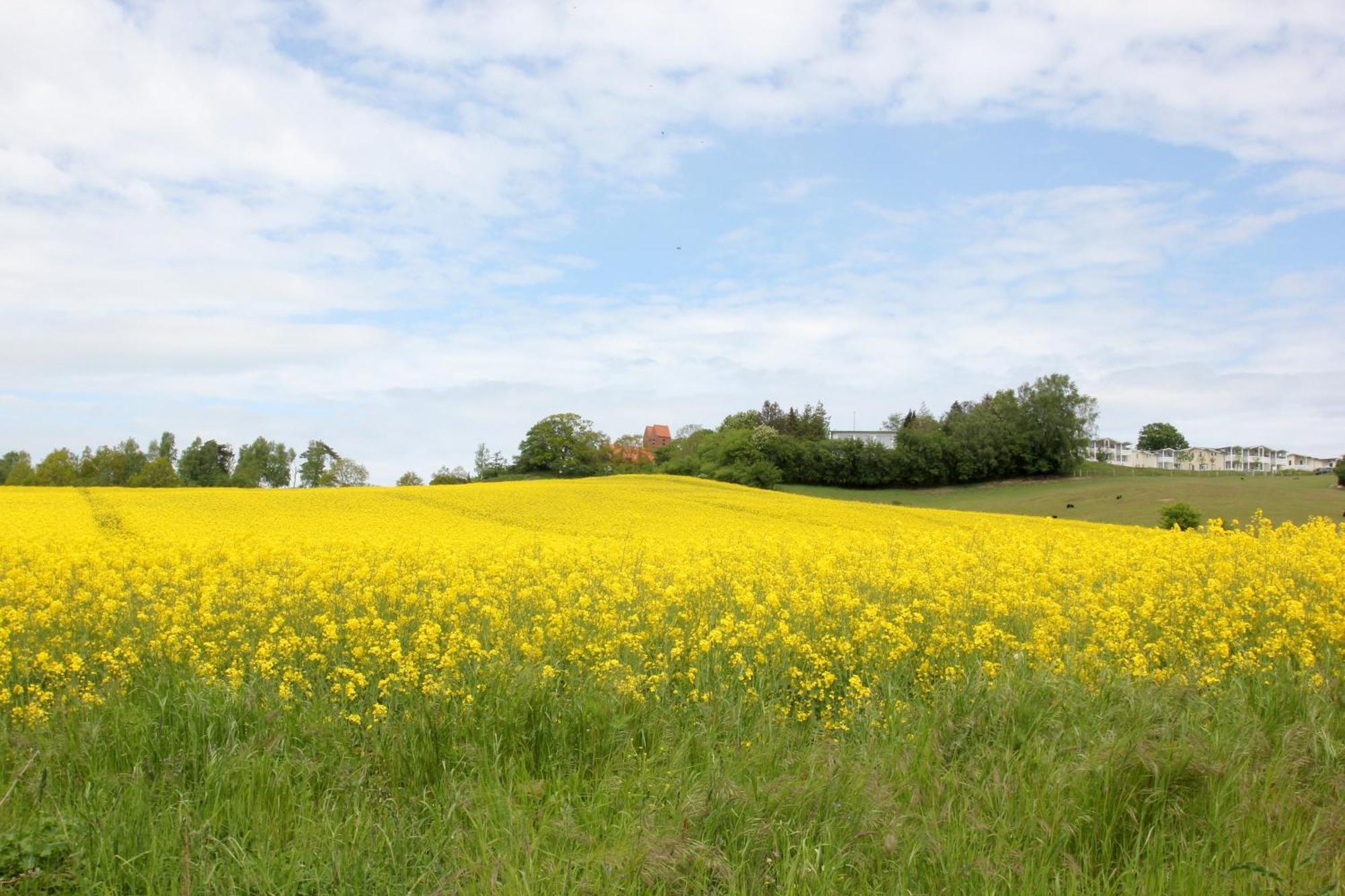 Mit Meerblick Und Balkon, Gratis Nutzung Vom Ahoi Erlebnisbad Und Sauna In Sellin - Meeresblick Fewo 48 Goehren  Exterior foto